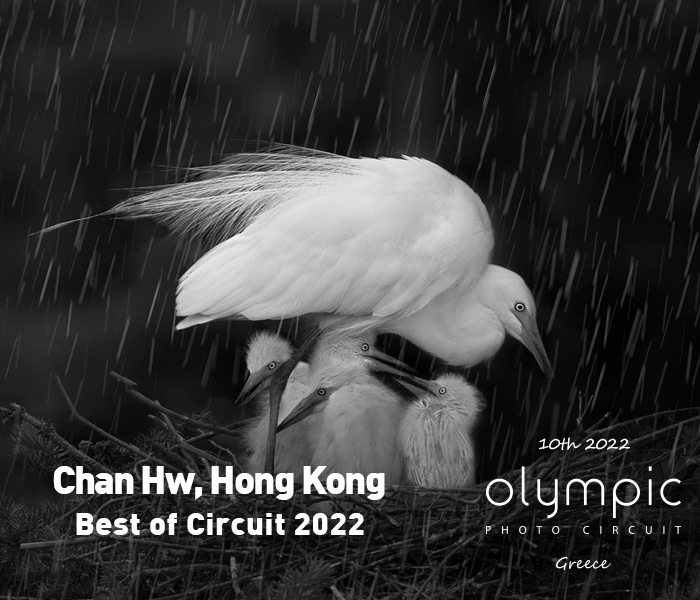Chan Hw, Hong Kong - Best of Circuit 2022